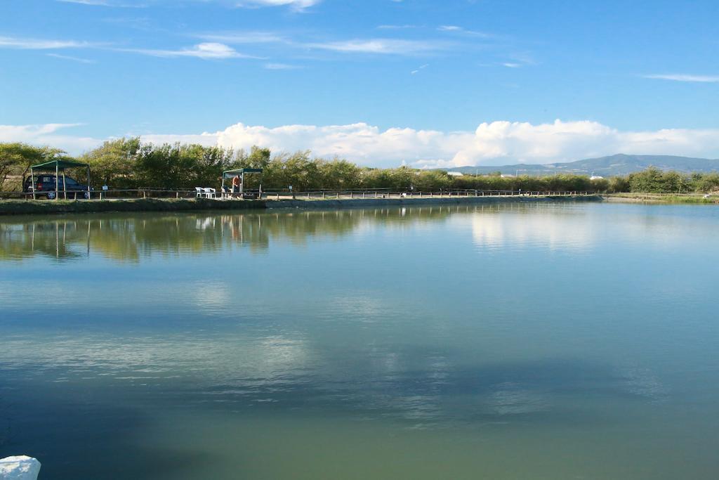 Camping Village Free Time Marina Di Bibbona Buitenkant foto