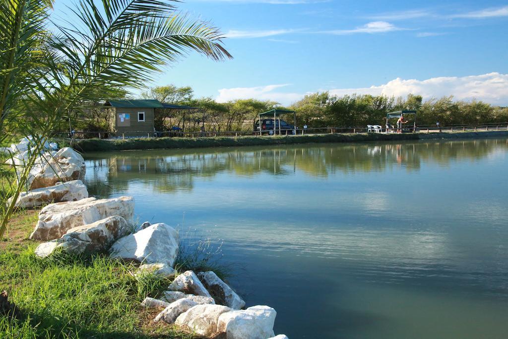Camping Village Free Time Marina Di Bibbona Buitenkant foto